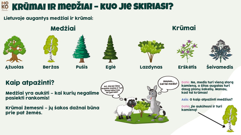 Krūmai ir medžiai. Augalų rūšys. (1 kl.)