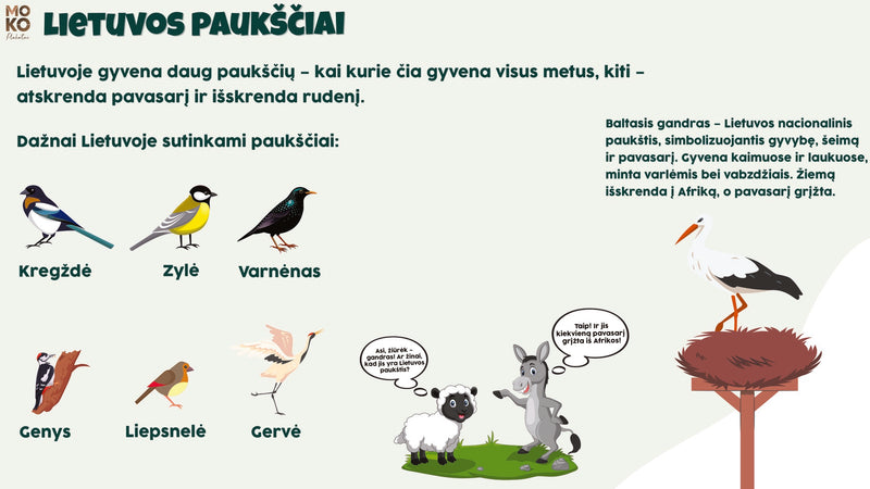 Lietuvos paukščiai (1 kl.)