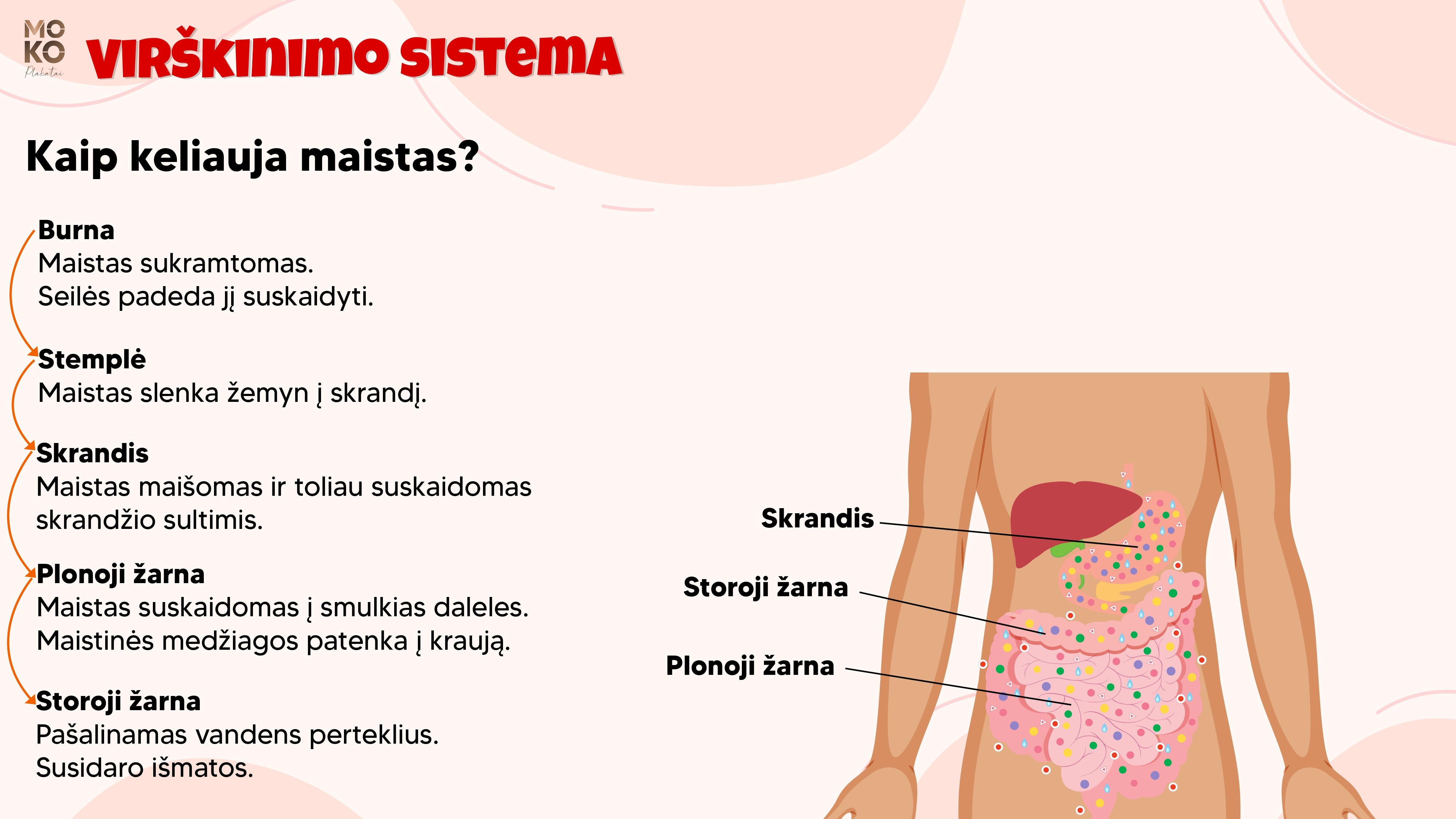 Virškinimo sistema (3 kl)