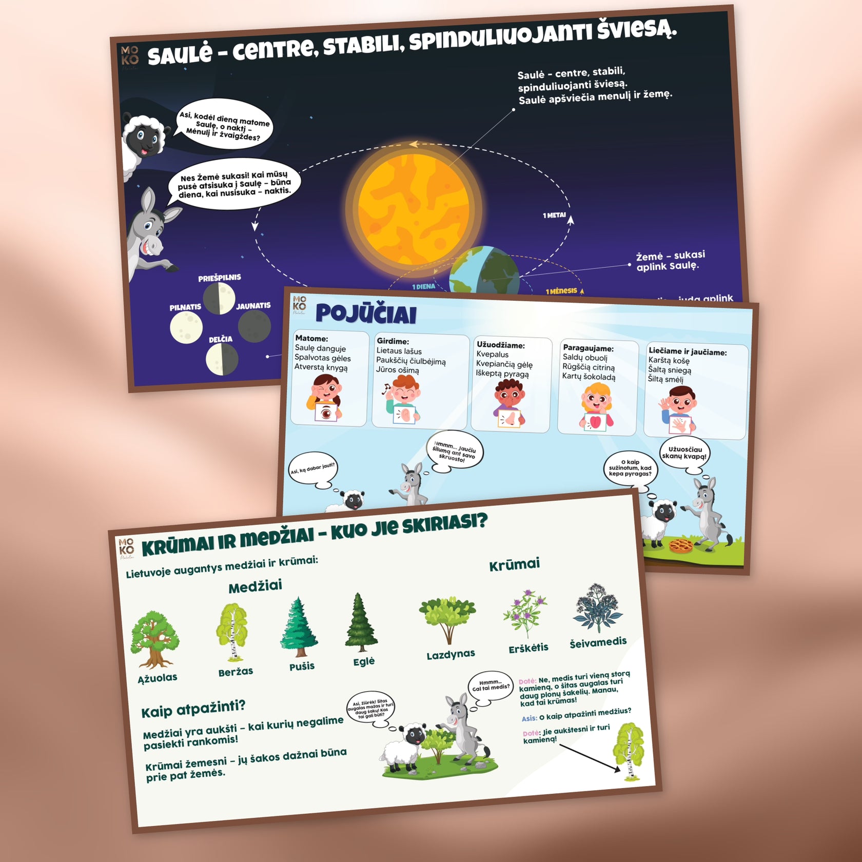 Mokymosi pradinukų plakatas apie matematikos, gamtos, lietuvių temą